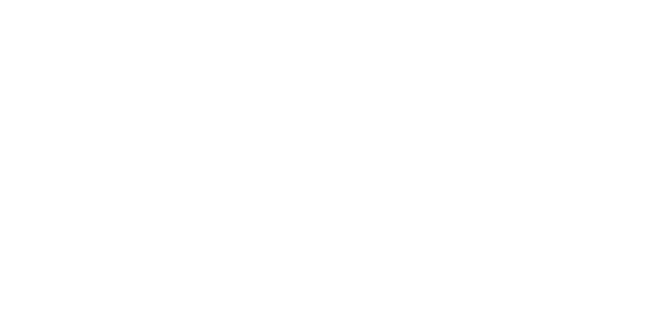 ProfitEcho Logo